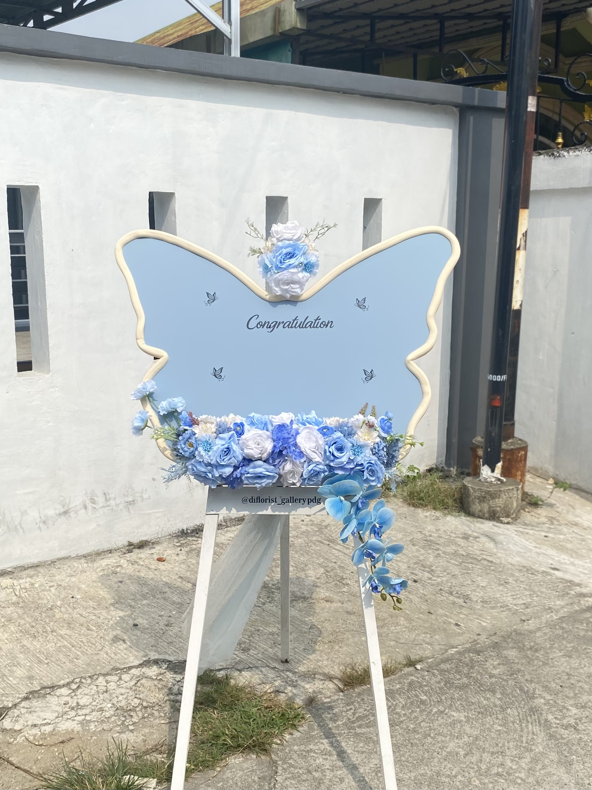 Kupu kupu biru